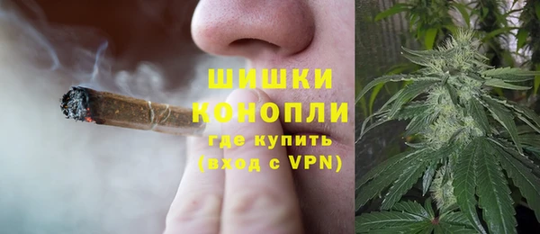 дмт Тобольск