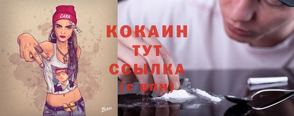 дмт Тобольск