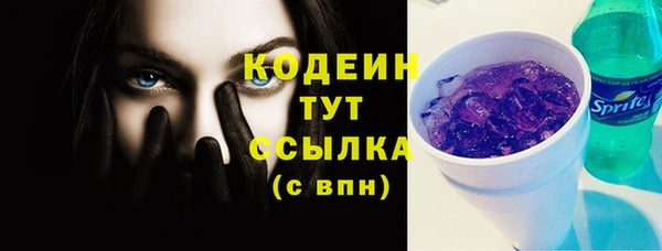 дмт Тобольск