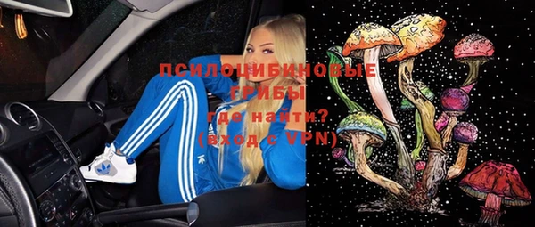 дмт Тобольск