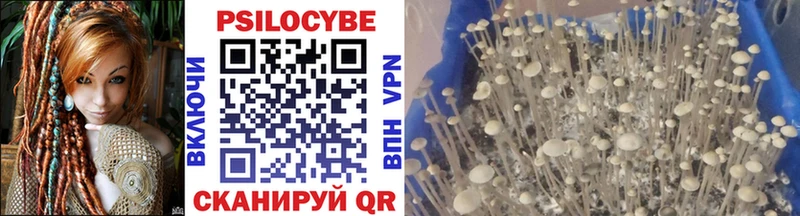 Галлюциногенные грибы Psilocybe  Купить  Самара 